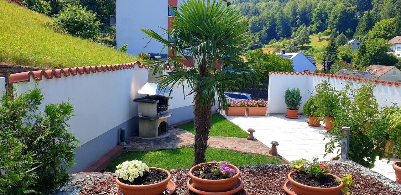 Apartmenthaus "Zum Lowen" Heidelberg - Ziegelhausen ภายนอก รูปภาพ