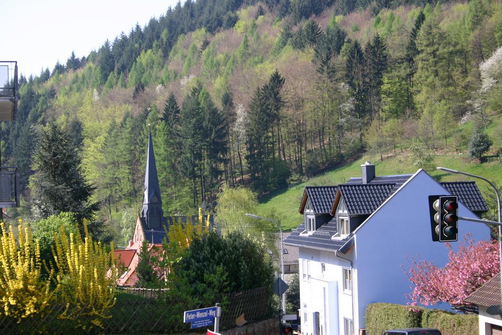 Apartmenthaus "Zum Lowen" Heidelberg - Ziegelhausen ภายนอก รูปภาพ
